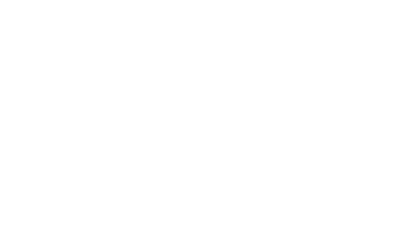 Dr. Max